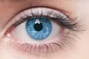 تصاویری وحشتناک از جرم‌گیری تخم چشم با تیغ
