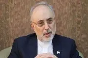 صالحی به گزارش جنجالی مجلس علیه او و روحانی واکنش نشان داد 