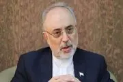 روحانی و کارگزاران دولت تدبیر و امید سینه خود را سپر بلای کشور کردند