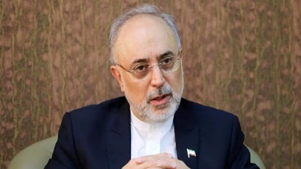 صالحی: دعایی در قضاوت‌ها منصف و عادل بود