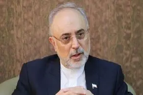 صالحی: به نظر می‌رسد که مذاکرات هسته‌ای در وین به نتیجه برسد/ مشورت های لازم را ارائه داده ام
