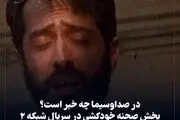 شاهکار جدید صداوسیما با انتشار یک تصویر زننده+ببینید
