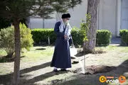 امسال رهبری چه درختی کاشتند