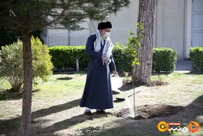 امسال رهبری چه درختی کاشتند