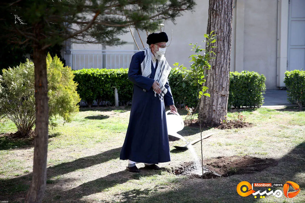امسال رهبری چه درختی کاشتند
