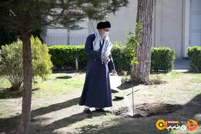 امسال رهبری چه درختی کاشتند
