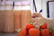 تولید واکسن کرونای خوراکی با طعم توت فرنگی!