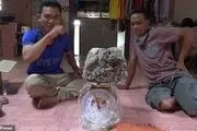استفراغ نهنگ، پدر و پسر ماهیگیر را میلیاردر کرد!