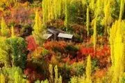 زیبایی‌های منحصر به فرد در اطراف تهران را از دست ندهید