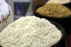 برنج ارزان می شود فعلا نخرید