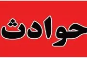 بلای عجیبی که این سگ ولگرد در یزد سر 16 نفر آورد!