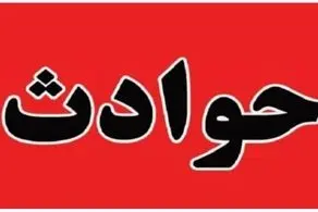 بلای عجیبی که این سگ ولگرد در یزد سر 16 نفر آورد!