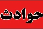 بلای عجیبی که این سگ ولگرد در یزد سر 16 نفر آورد!