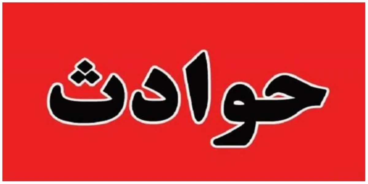 بلای عجیبی که این سگ ولگرد در یزد سر 16 نفر آورد!