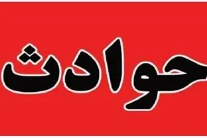 بلای عجیبی که این سگ ولگرد در یزد سر 16 نفر آورد!