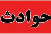 بلای عجیبی که این سگ ولگرد در یزد سر 16 نفر آورد!