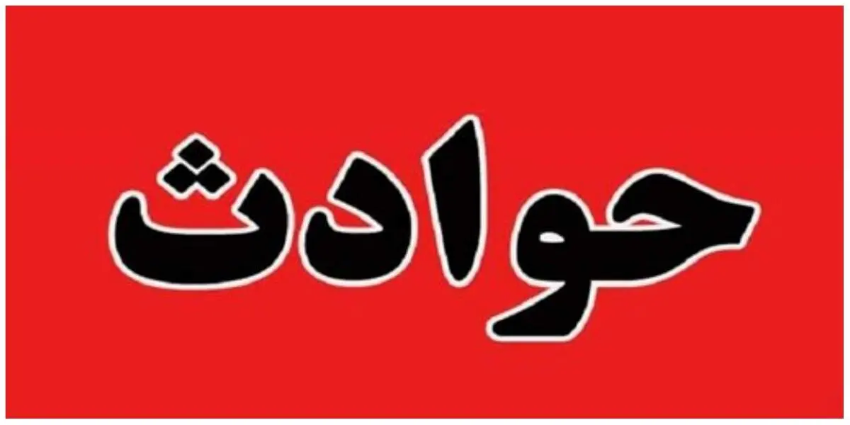بلای عجیبی که این سگ ولگرد در یزد سر 16 نفر آورد!