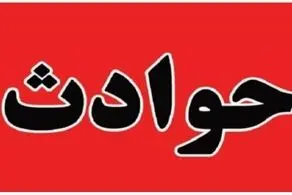 بلای عجیبی که این سگ ولگرد در یزد سر 16 نفر آورد!