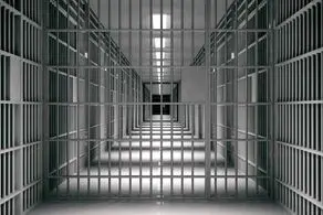 سه دانشجو آزاد شدند