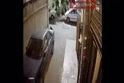 آخرین فیلم از نیکا شاکرمی ۷ ساعت قبل از کشف جسدش