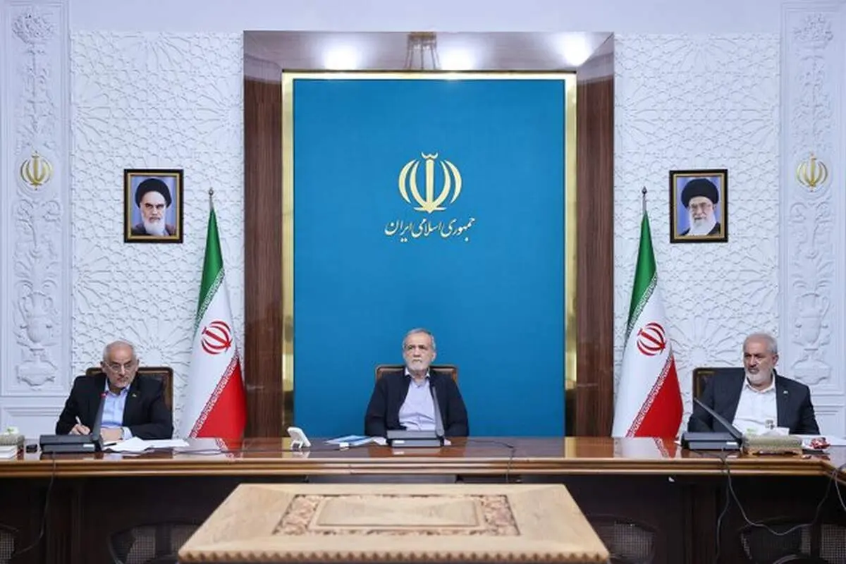 بسیاری از کارخانه‌ها وام دریافت کردند اما بازپرداختی صورت نگرفت و در نهایت منابع از بین رفت