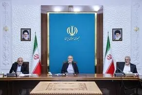بسیاری از کارخانه‌ها وام دریافت کردند اما بازپرداختی صورت نگرفت و در نهایت منابع از بین رفت