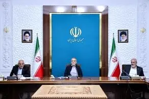 بسیاری از کارخانه‌ها وام دریافت کردند اما بازپرداختی صورت نگرفت و در نهایت منابع از بین رفت
