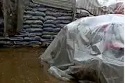 ۳۰۰ تن برنج‌ باران‌زده از بین می رود؟/گمرک به وزارت صمت نامه زد
