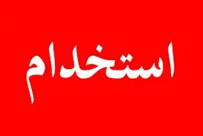 قانون جدید استخدامی؛ این افراد استخدام می‌شوند