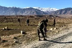 ضربه سنگین به طالبان/77 عضو کشته شدند