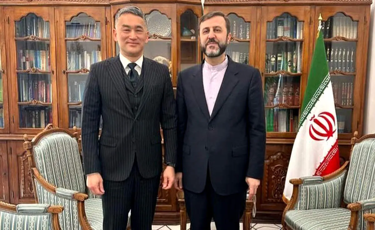 رایزنی ایران و ژاپن درباره برنامه هسته ای ایران 