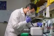 زندگی ۴ حرف DNA است اما دانشمندان به تازگی ۸ حرف آن را ساخته‌اند!