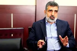 پاسخ کمالوندی به ادعاها درخصوص سفر گروسی به ایران؛ از دسترسی به افراد تا نصب دوربین‌ها