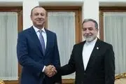 دیدار عراقچی با آرمن گریگوریان
