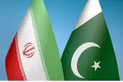 وزیر کشور عازم پاکستان شد
