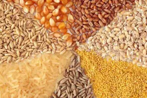 قیمت جدید نهاده‌های دامی اعلام شد