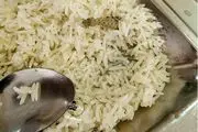  تصویری خبرساز از دیده شدن مارمولک در غذای یک دانشگاه
