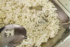  تصویری خبرساز از دیده شدن مارمولک در غذای یک دانشگاه