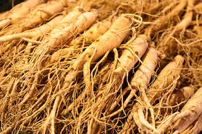نابودی سه سوته دیابت با این گیاه بی‌نظیر