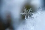 پراید در سرما یخ زد!+عکس
