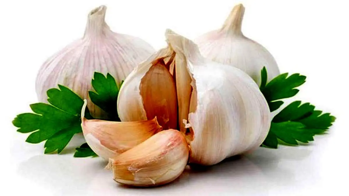 برای درمان کرونا خوردن چه مقدار (( سیر )) در روز کافی است؟
