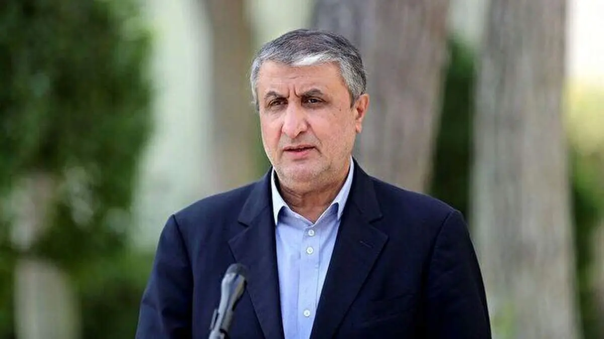 واکنش رئیس سازمان انرژی اتمی به بیانیه اخیر سه کشور اروپایی علیه ایران: زورگویی میکنند