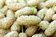 با خوردن این میوه  افسرده و مضطرب نمی‌شوید