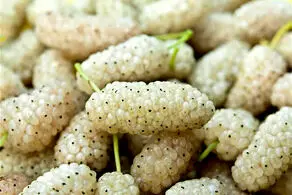 با خوردن این میوه  افسرده و مضطرب نمی‌شوید