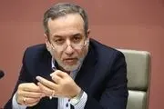 عراقچی برنامه خوبی برای ۱۵ کشور همسایه و همسو دارد