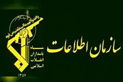 گروهک معاند شناسایی و متلاشی شد+جزییات