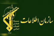 گروهک معاند شناسایی و متلاشی شد+جزییات