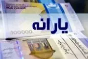 با این کد دستوری از مبلغ یارانه دی ماهتان باخبر شوید!