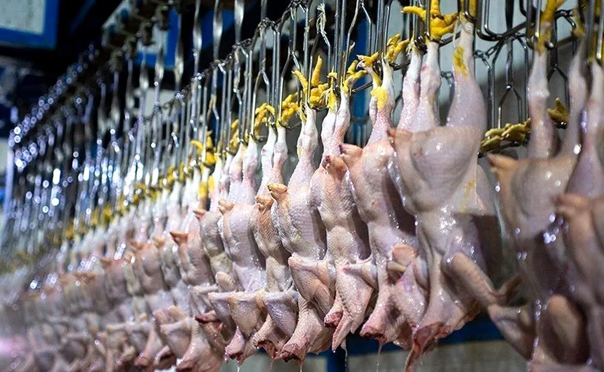 قیمت مرغ و تخم‌مرغ در دوازدهمین روز جنگ