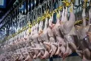 قیمت جدید گوشت مرغ امروز 15 اردیبهشت 1405